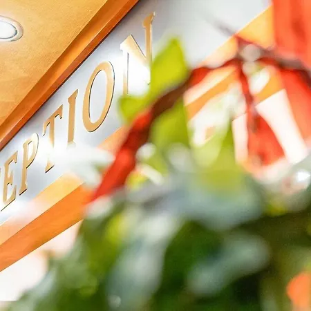 Park Pineta Boutique 호텔 4*